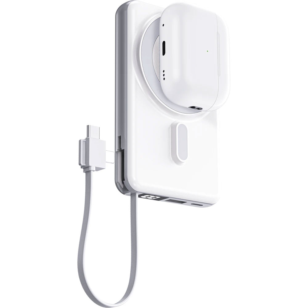 4 in 1 PowerBank