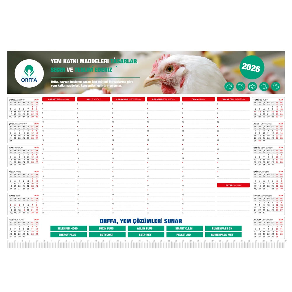 Tarihsiz Masa Sümeni